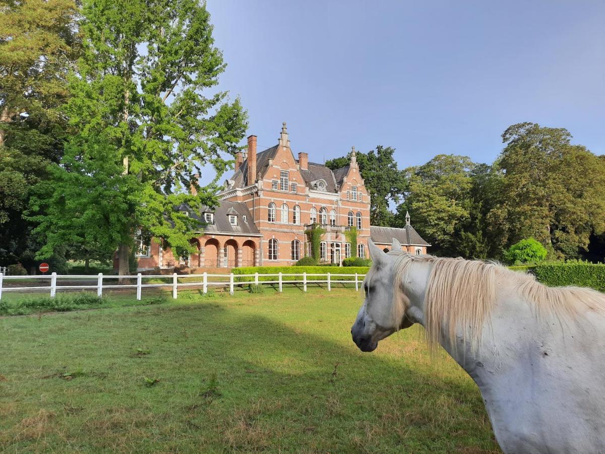B&B Chateau De Ramegnies-Chin Tournai Exteriör bild
